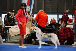 Sindi CACIB Brno 24.01.2026